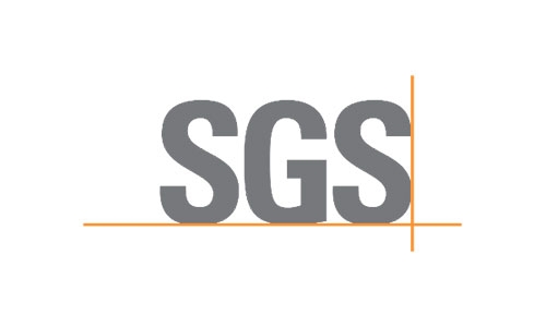 Silver Mine - SGS